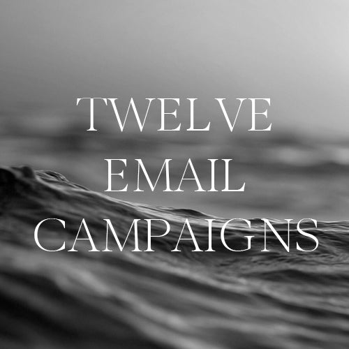 12 Custom Email Campaigns (Klaviyo)